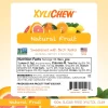 image with the composition of xylitol Fruit chewing gum in a bottle package with 60 pcs chewing gums from Xylichew without aspartam (aspartam free) | For website: healthychewinggum.com | Source: Xylichew