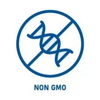 Ikona přeškrtnutého řetězce dna značící na zdravé žvýkačky bez geneticky modifikovaných ingrediencí (non gmo) v žádné fázi výroby zdravých žvýkaček nakresleny modrou linkou | Zdroj: healthychewinggum.com | Pro web: healthychewinggum.com