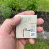 Wrapper of Lemon Chewing Gum with activated charcoal from the back held in the left hand with mint, grass and dirt in the garden in the background