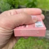 Raspberry Chewing Gum Gud Gum in a box from the side held in the left hand in the background with herbs, grass and a garden bed
