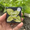 Wrapper of Charcoal Spearmint Chewing Gum in front with activated charcoal, gum in palm with activated charcoal in back held in left hand with mint, grass and dirt in garden in background.