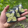 3 charcoal spearmint Chewing Gum wrappers with activated charcoal gum in the palm of the hand from the front held in the left hand with mint, grass and dirt in the garden in the background