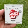 Malinové přírodní žvýkačky Gud Gum bez plastových materiálů a bez škodlivé chemie držené v ruce levou rukou na pozadí trávník zahrady