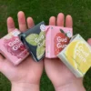 All flavours of Gud Gum chewing gum on the palms of hands close-up on the background of dark green grass in the garden | Owner photo: Jiří Samuel | For web: healthychewinggum.com