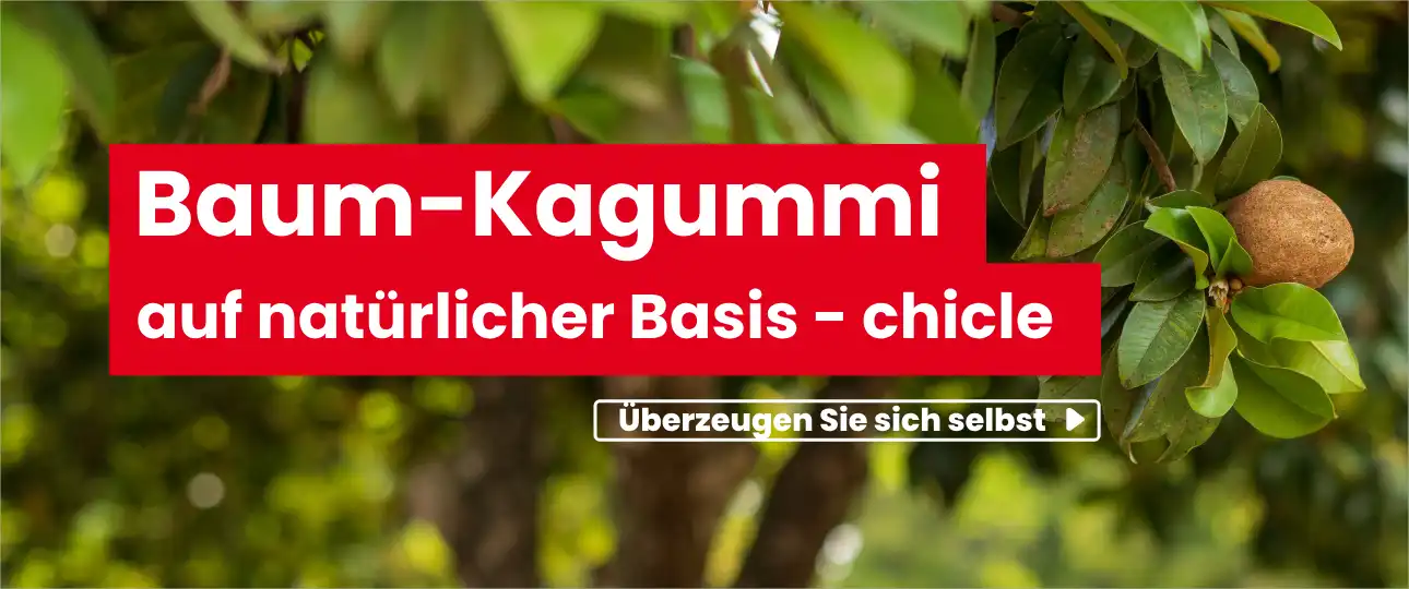 Kaugummi aus Bäumen (Sapodilla) mit natürlicher Basis - Chicle