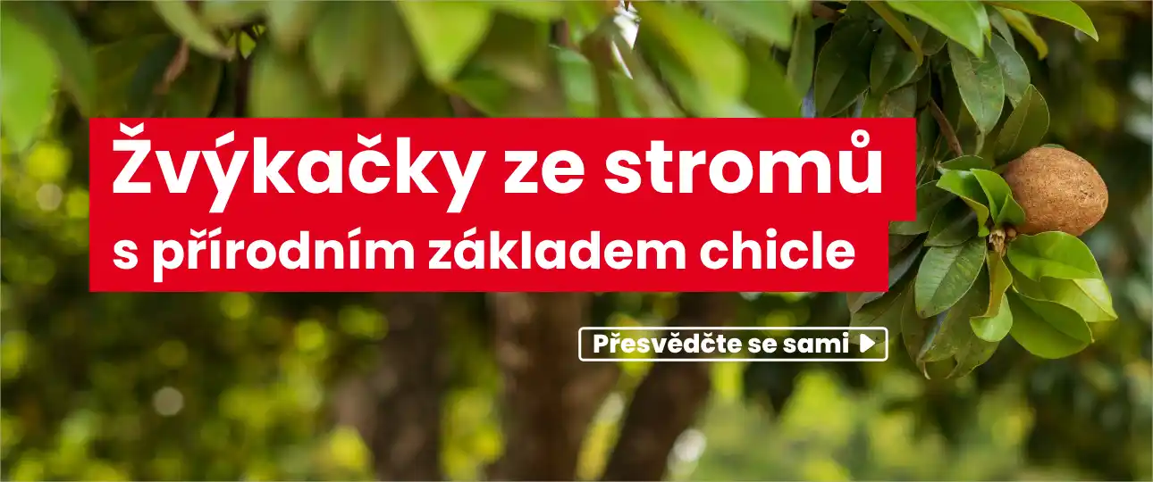 Žvýkačky ze stromů sapodilla s přírodním gumovým základem - chicle