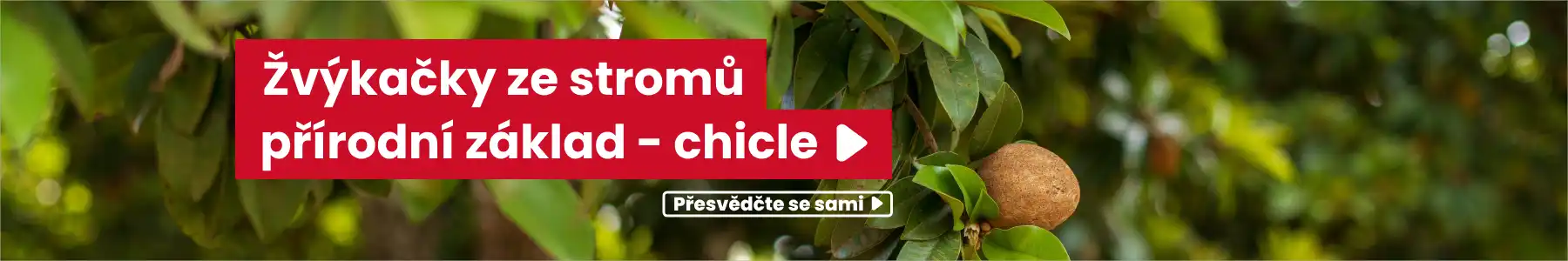 Žvýkačky ze stromů sapodilla s přírodním gumovým základem - chicle
