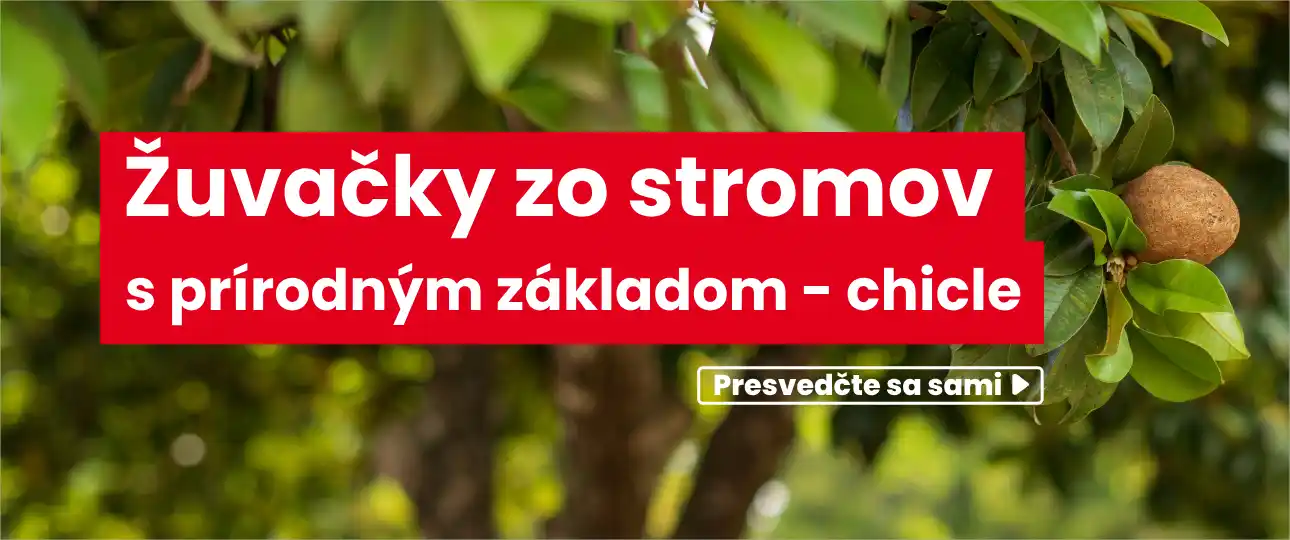 Žuvačky zo stromu Sapodilla na báze prírodného kaučuku - chicle