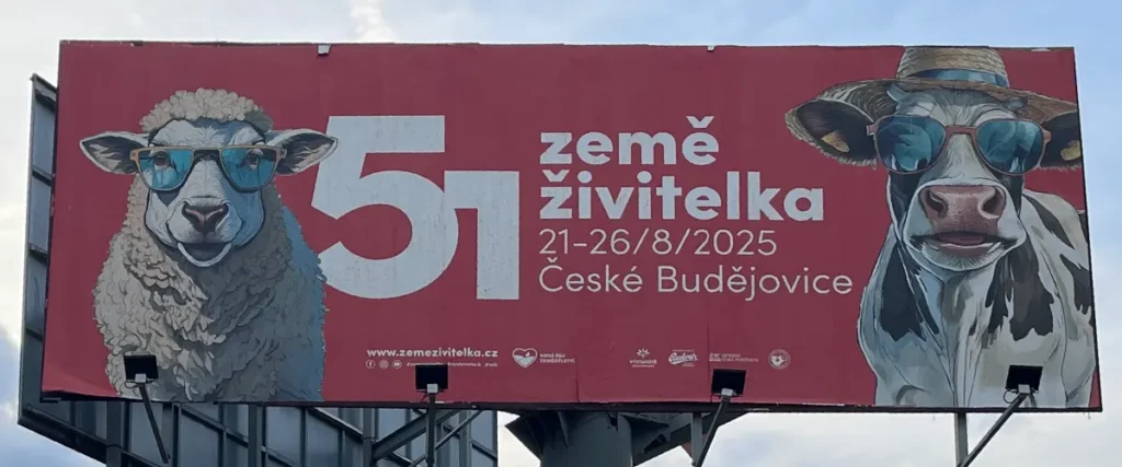 Fotografie bilboardu Ovce vlevo a krávy vpravo - obě se slunečními brýlemi navíc kráva se slaměným kloboukem a popisem výstavy : 51. země živitelka 21-26/8/2025 České Budějovice, výstavy Země živitelka 2025 v Českých Budějovicích | Pro: Pozvánka na výstavu Země živitelka 2025 na výstaviště České Budějovice | Autor fotografie a úprav: Jiří Samuel | Pro web: healthychewinggum.com