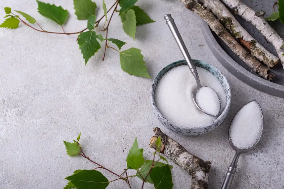 In the picture on the right, a bowl with the natural sweetener xylitol - birch sugar, on the right are birch twigs, on the left are birch leaves, and the entire background is strewn with white crystalline powder/crystal, Article: Interview about XSylitol and its possible effects on human health, Website: healthychewinggum.com, Image source: shutterstock.com